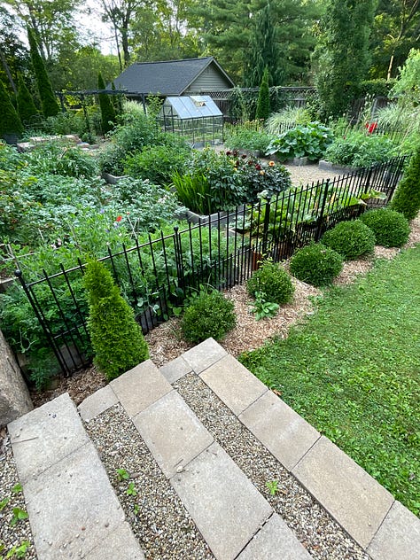 Glads, Dahlias, Sweet peas—full house in the Kitchen Garden this month