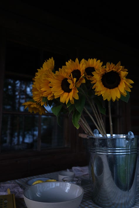 sunflowers