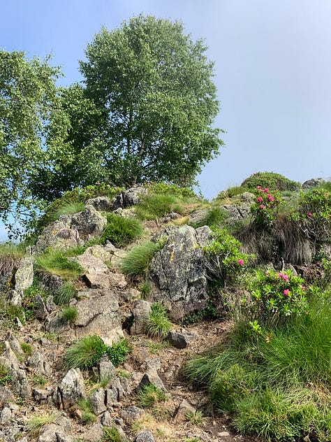 Oasi Zegna, mont Rubello and santuary S. Bernardo, Trivero (Biella, Italy)