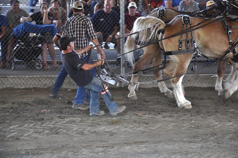 Nine photos from a fair. A closeup of the hand of a quilter; a man and a boy with blue sunglasses in front of a ride; a smiling face; human feet walking behind horses with dust; horse feet; men pulling hard on their horeseteam; horse team leaping out to pull weighted sled. two oxen standing in the sun; a young girl trying to wrestle one of the oxen on her team