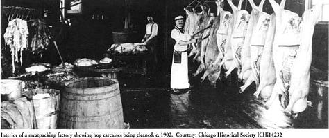 'The Jungle' in Appeal to Reason, Upton Sinclair, a meatpacking plant in Chicago