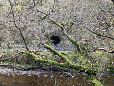 Guided walk of the Brecon Beacons waterfalls with Wales Outdoors