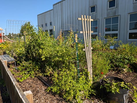 images of an open doorway into a school garden full of growing plants, supports, and arches