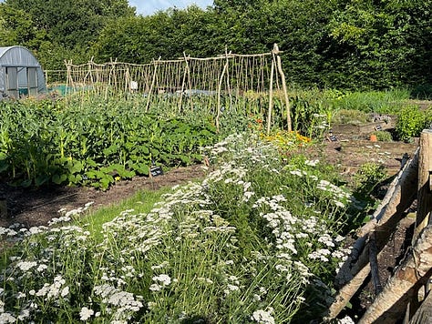 Nine images showing the outside seating area of The Small Holding with images of crops growing in the vegetable garden