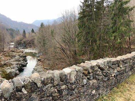 Old footbridge near Barattina, VC, Italy, and the first flowers of this year