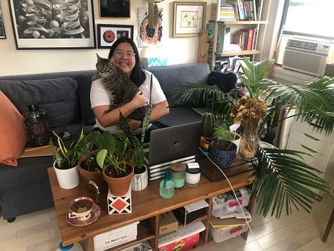 Top right hand corner, going clockwise, is Watson, a sneaky Tabby cat hiding among some plants in a window sill; then you have Jess, a white woman with glasses, holding a small house plant with yellow stripes on its leaves in her hands while another dangles in the window; next is Kim, an asian woman, holding another but larger tabby cat, Charlie, while sitting on a gray couch with plants covering the table in front of her, along with a laptop; next is Watson again, sitting in a pot; bottom-center you see more plants hanging from a window and two more plants flanking the sides of the window; and last many different plants, spiky, tall and leafy in a window sill overlooking a corner bodega.