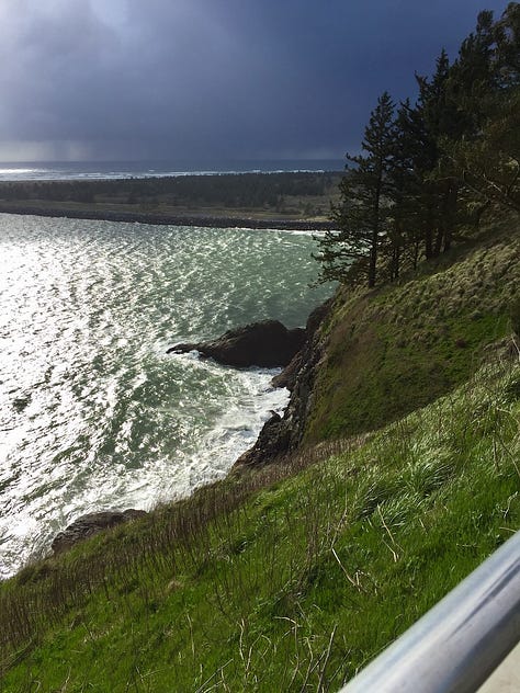 trees with beach, Washington coastline