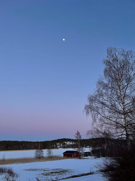 There are photos of a sauna near the frozen water surrounded by snow, the lilac and blue night sky and half moon, a golden sunset over snowy landscape, fluffy Luna dog in the snow, an urn on a table with rises and other flowers in the church 