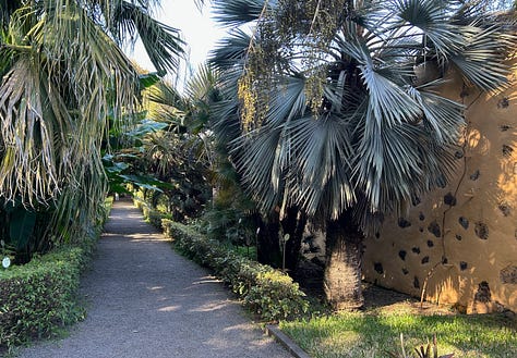 Labels and walkways in the Jardín de Aclimatación de la Orotava on Tenerife