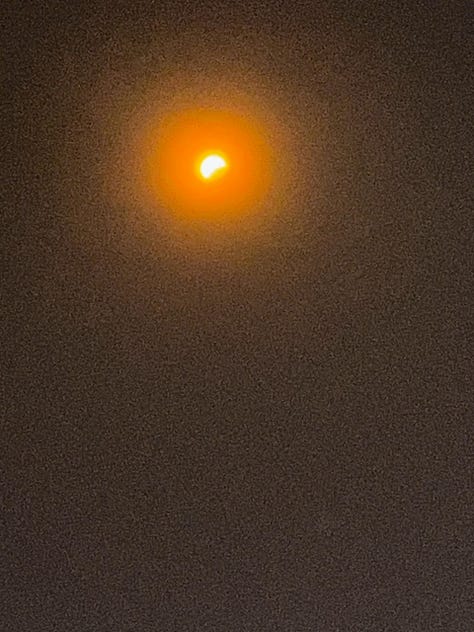 shots from 2024 solar eclipse
