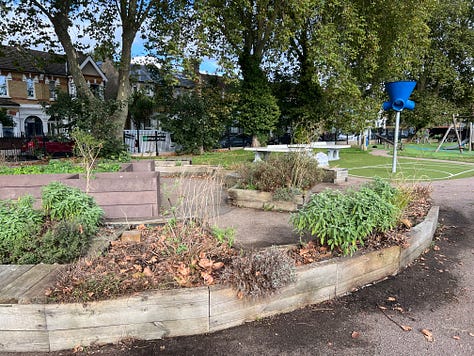 Progress photos of clearing the play park planters