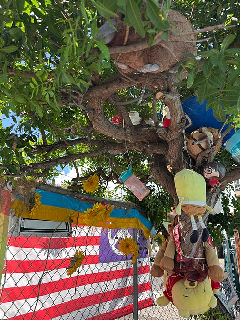 waiola shave ice oahu