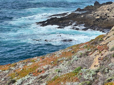 images of fields, flowers, trees, sand, ocean, mountains, natural beauty