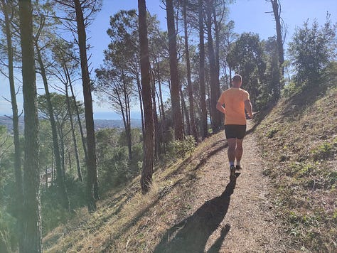 Views from the course, showing a sea view, some shaded and some open and sunny paths covered in pine needles