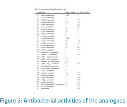 Novel Analogues of Teixobactin and the Synthetic Method