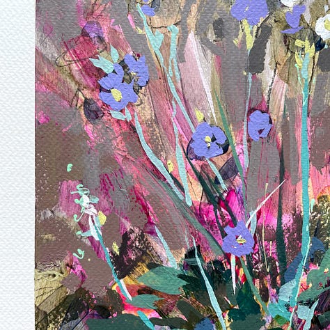 Paintings and sketches of the Mealy Primrose wildflower by artist, Jennifer Mohr.