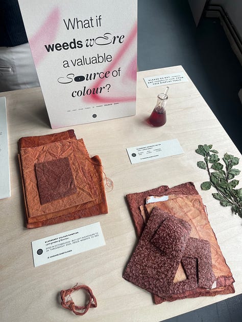 1-3. Exhibition table for 'crimsons' showing Hannah Elisabeth Jones' artefacts of dyed fabric and yarns using locally-foraged weeds for red hues.