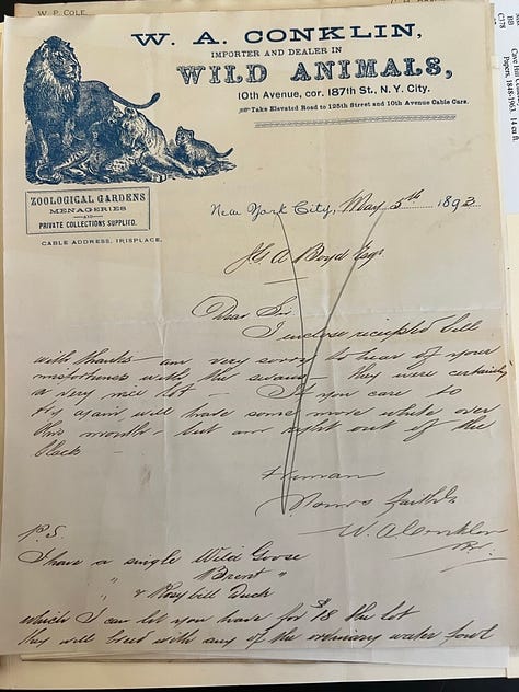 Antique, handwritten letters on letterhead from W.A. Conklin