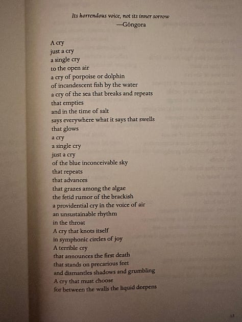 The cover of María Baranda's Nightmare Running on a Meadow of Absolute Light followed by the first five pages of her poem "To Hell," which starts with the lines, "A cry."