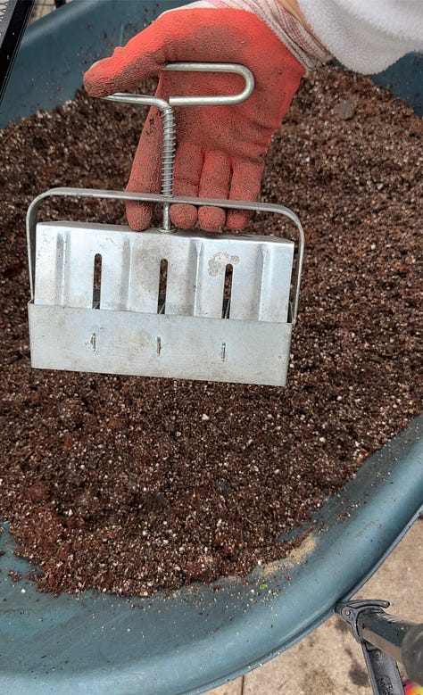 Three images: the first is a metal soil blocker with a bin of loose soil. The second is a plastic tray with soil blocks and seed holes. The third is small green plants sprouting from the seed blocks.