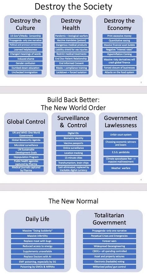 WEF Plans (Source: Elizabeth Nickson Substack) | Gun Control (Source: Epoch Times)