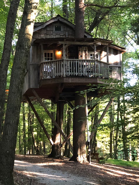 three images: treehouse up in the ari with porch and suspended from two oak trees, a suspension bridge to get there from the top of the stairs, and a view of the inside with a loft bed and kitchen