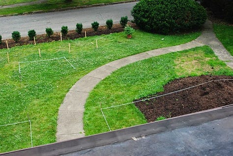 Before photos of the Cottage Garden, 2014