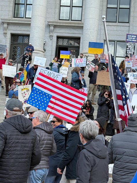 Several photos of protesters around the country with signs opposing the Trump administration and Elon Musk