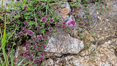 Various images of Swindale valley in Cumbria