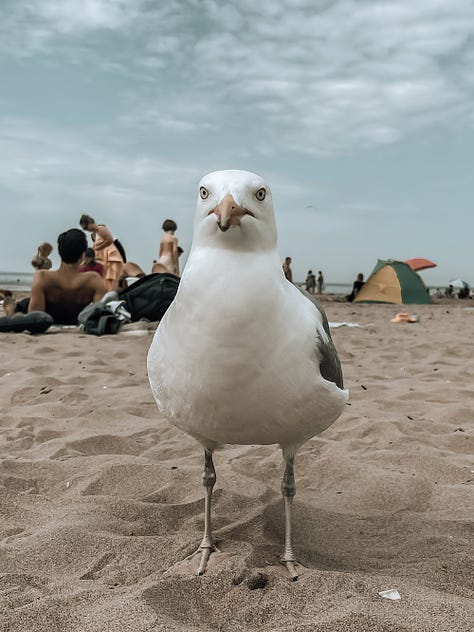 Amsterdam und Zandvoort 