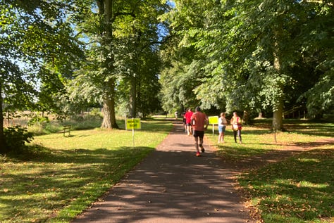 Paths lined with thin trees and lots of greenery