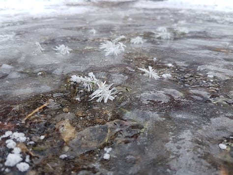Frozen ice