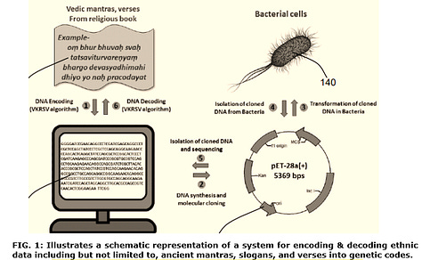 System and Method for Encoding and Decoding Ethnic Data Into Genetic Codes