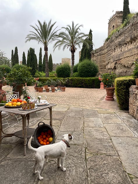 Six images taken around the leafy, citrus gardens of Alcázar Palacio Portocarrero near Seville, southern Spain