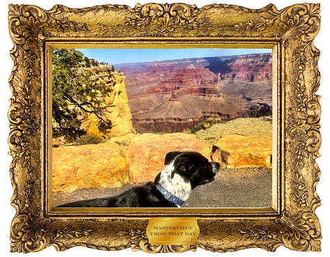 A handsome dog in some bad photos of the grand canyon