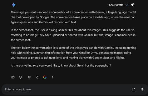 Examples of Gemini Pro not being at all self-referential in the first three interactions.