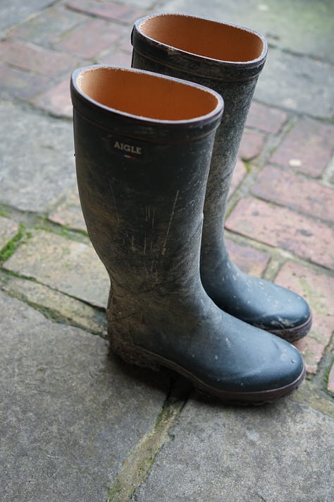 Wellington boots