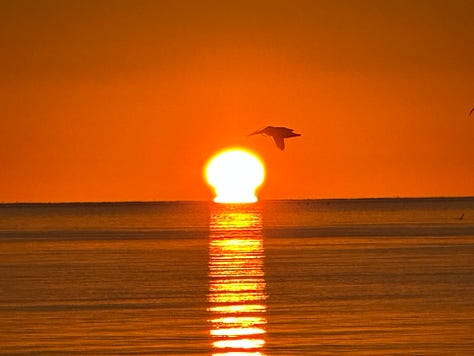 Photos from Baja, Mexico