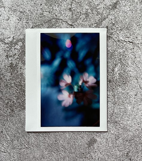 instax instant photo long exposure low light