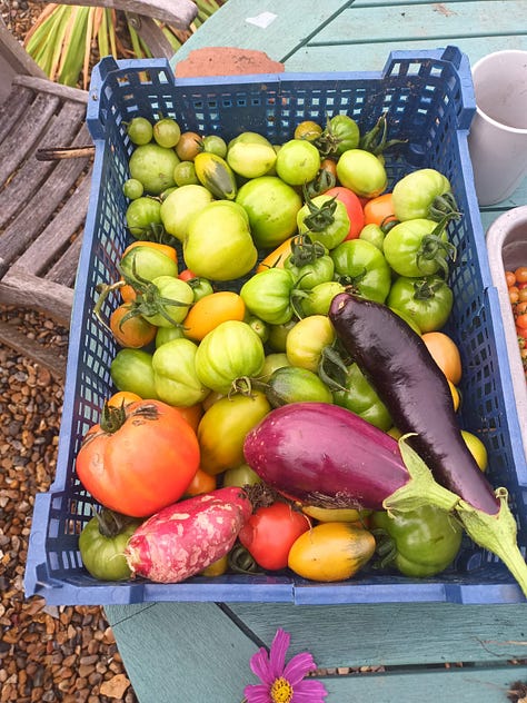 Produce from Leyton Boundary Garden being shared