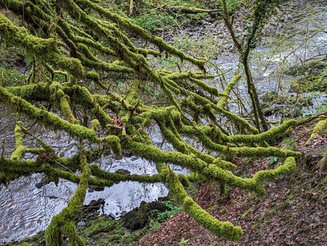 images of waterfalls in the Brecon Beacons