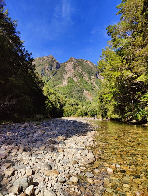 Various images from Wangapeka hiking route between Wangapeka Saddle and Taipō Hut