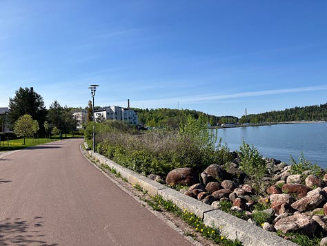 Trees and plants next to the course