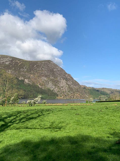 scenic views of natur and the hillside on snowdon, north wales
