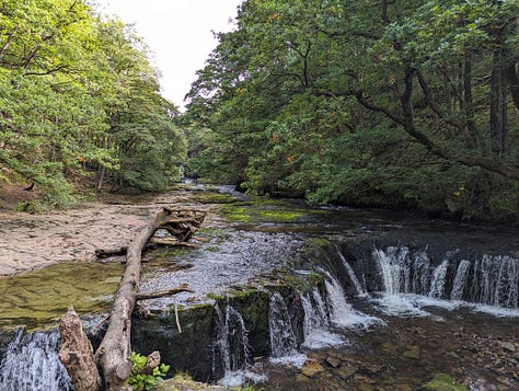 guided walk in the waterfalls area of the brecon beacons national park