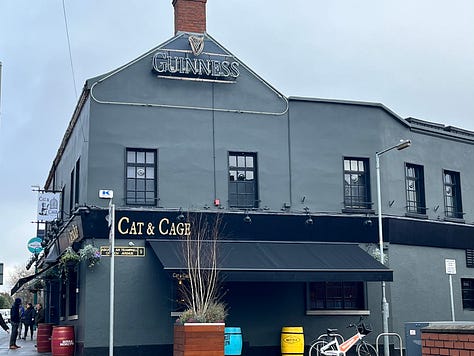 At the Cat & Cage