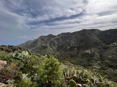 nature scenes on the island of Tenerife