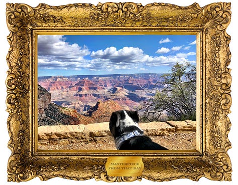 A handsome dog in some bad photos of the grand canyon