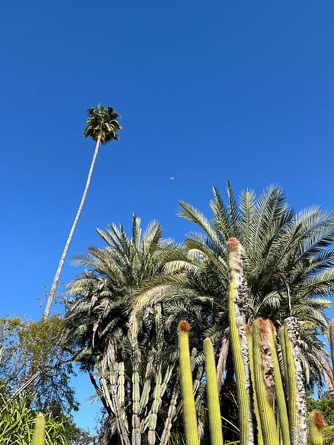 Scenes from LA