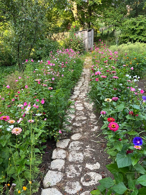 Dave's grandmother's house, its interior, a tkemali plum tree; hive in the garden, Nellie's porch, icons; mallow flowers, zinnias on the path to the outhouse, grapevine arbour